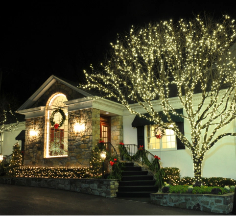 holiday lighting installed around the house and trees 2